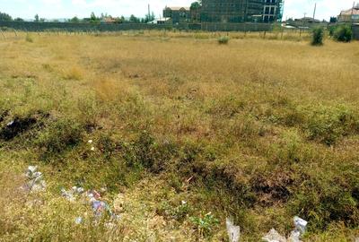 Residential Land at Chuna - 4