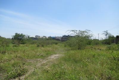 Land at Nyasa Rd