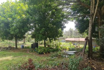 Land in Karen - 3