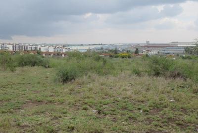 10 ac Land at Sabaki Rd - 4