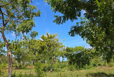 7 ac Land at Kikambala - 3
