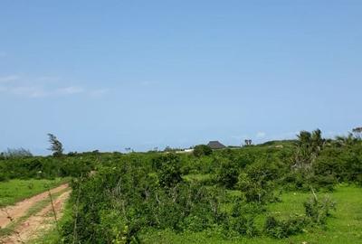 202,350 m² Land in Vipingo