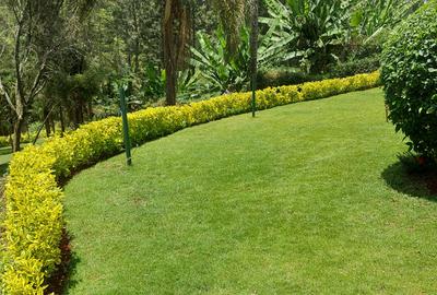 4 Bed House with En Suite at Miotoni Close - 3