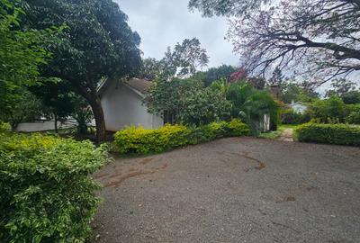 Commercial Property with Parking in Lavington