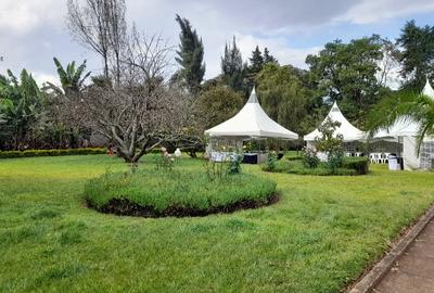 Commercial Property in Karen