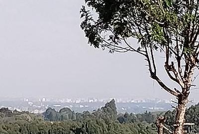 2 ac Land at Off Tigoni - Kabuku Rd - 2