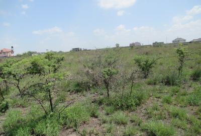 6.1 ac Land at Sabaki - 4