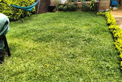 4 Bed Townhouse with En Suite at Lavington
