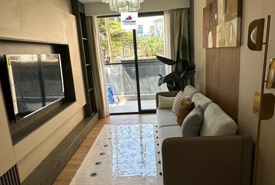 Studio Apartment with En Suite in Westlands Area - 3