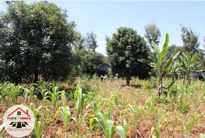 800 m² Residential Land at Kamuita Area - 2