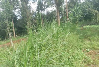 3.2 ac Land at Off Dagorethi Road - 4