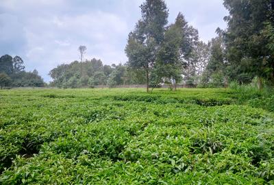 1 ac Land at Riara Ridge - 2