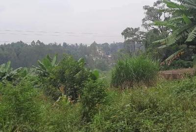 Residential Land at Thidingua