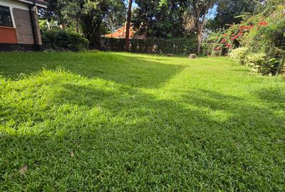 4 Bed House with En Suite in Runda - 4