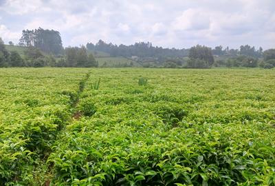 1 ac Land at Riara Ridge - 3