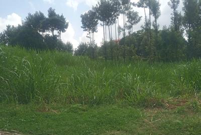 0.5 ac Land in Banana - 2