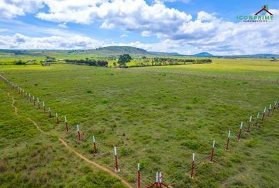 0.25 ac Land in Naivasha - 4