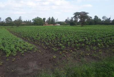 0.125 ac Residential Land in Ongata Rongai