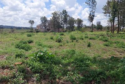 Residential Land at Mimosa Garden