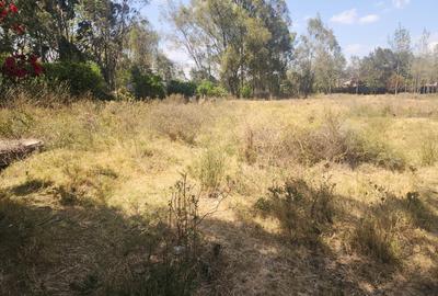 0.5 ac Land in Karen - 4