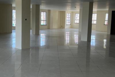 4,000 ft² Commercial Property with Backup Generator in Pangani