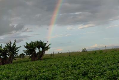 10.75 ac Land at Kisaju - 3