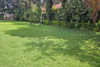 2 Bed House with En Suite in Runda - 3