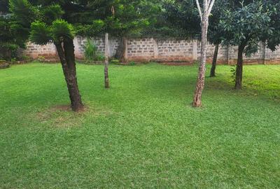 5 Bed House with Staff Quarters at -00200