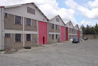 6,500 ft² Warehouse with Backup Generator in Athi River