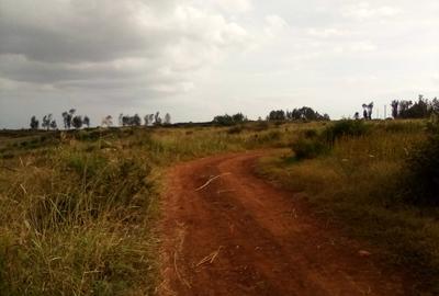 Land at Manira Trail