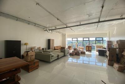 Commercial Property with Backup Generator in Rhapta Road - 3