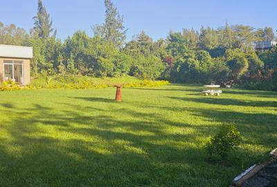 1.25 ac Commercial Property with Backup Generator in Karen - 4