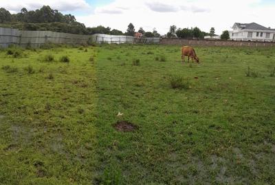 0.9 ac Land at Karen