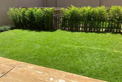 4 Bed Townhouse with Swimming Pool in Lavington - 2