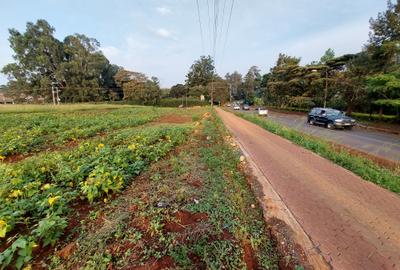 Commercial Property with Backup Generator at Redhil Road