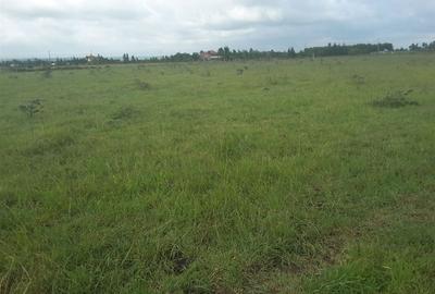 0.1 ac Residential Land in Ongata Rongai