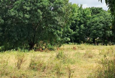 Land at Kilifi Town - 2