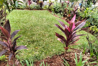 3 Bed Townhouse with En Suite in Westlands Area