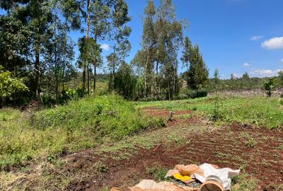 0.5 ac Land in Loresho