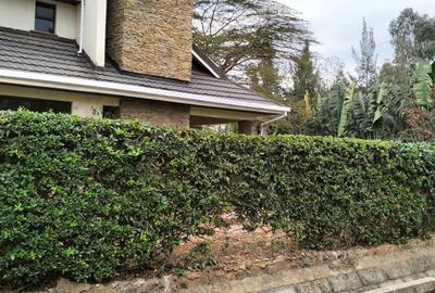 5 Bed Townhouse with En Suite in Karen Hardy - 4