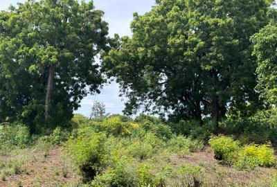 8,093.72 m² Land at Diani 3Rd Row Beach - 2