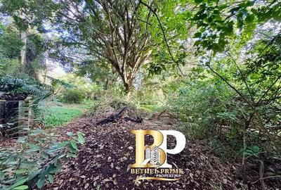 Land in Kileleshwa
