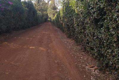 Land in Redhill