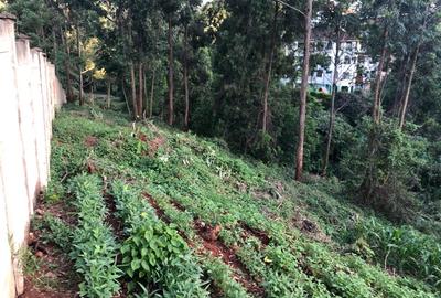 Land in Kitisuru - 2