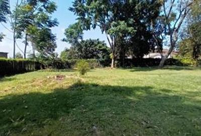Commercial Property with Fibre Internet at Lavington Green