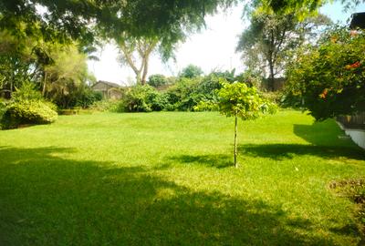 1 m² Residential Land at One Acre Land For Sale In Spring Valley