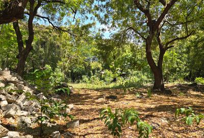 1 ac Land at Hemingways - 4