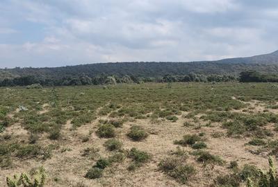 31 ac Land at Longonot Town