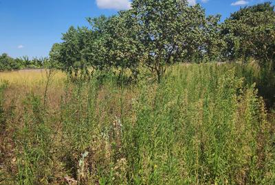 Land at Runda Muringa