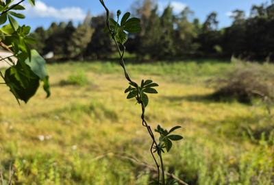 Residential Land in Karen - 4